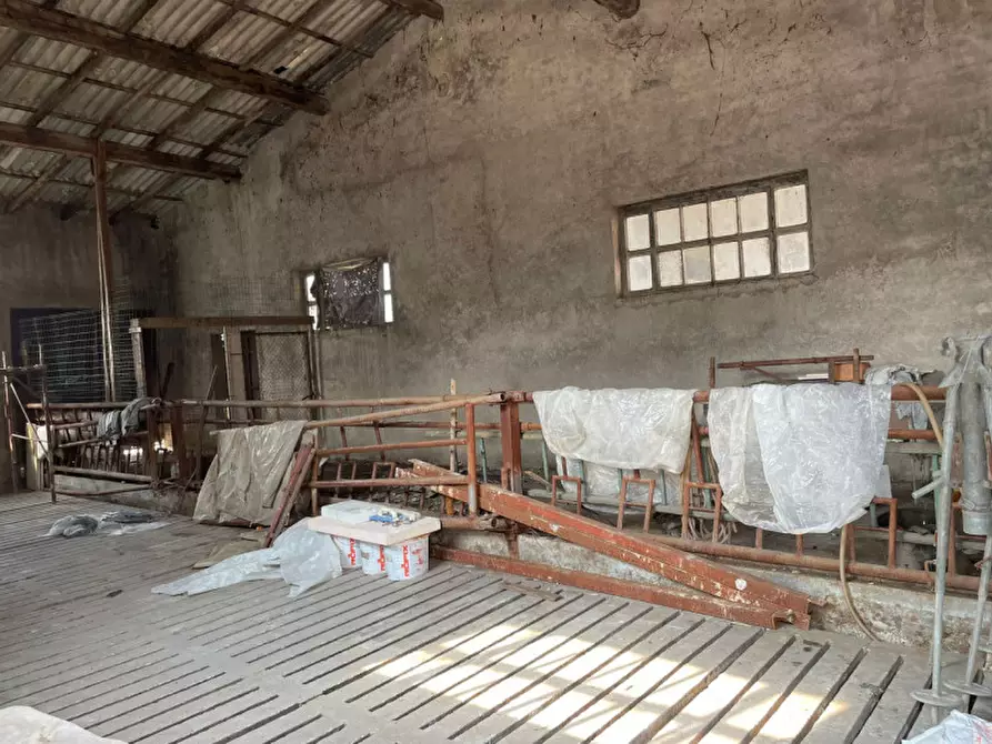 Immagine 5 di Rustico / casale in vendita  in Via Cassetta a Lonato del Garda