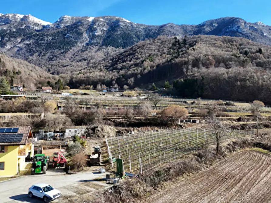 Immagine 75 di Agriturismo in vendita  in Via Masi di Sopra 9/2 a Cavedine
