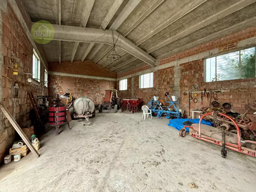 Immagine 19 di Casa indipendente in vendita  in Via Bosco 10 a Terrazzo