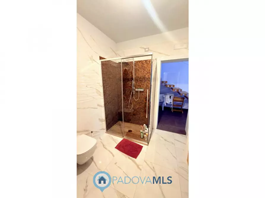 Immagine 26 di Villa in vendita  in Via Olmo per Conselve, 20 a Bagnoli Di Sopra