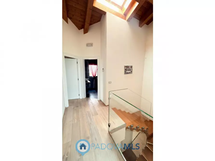 Immagine 34 di Villa in vendita  in Via Olmo per Conselve, 20 a Bagnoli Di Sopra