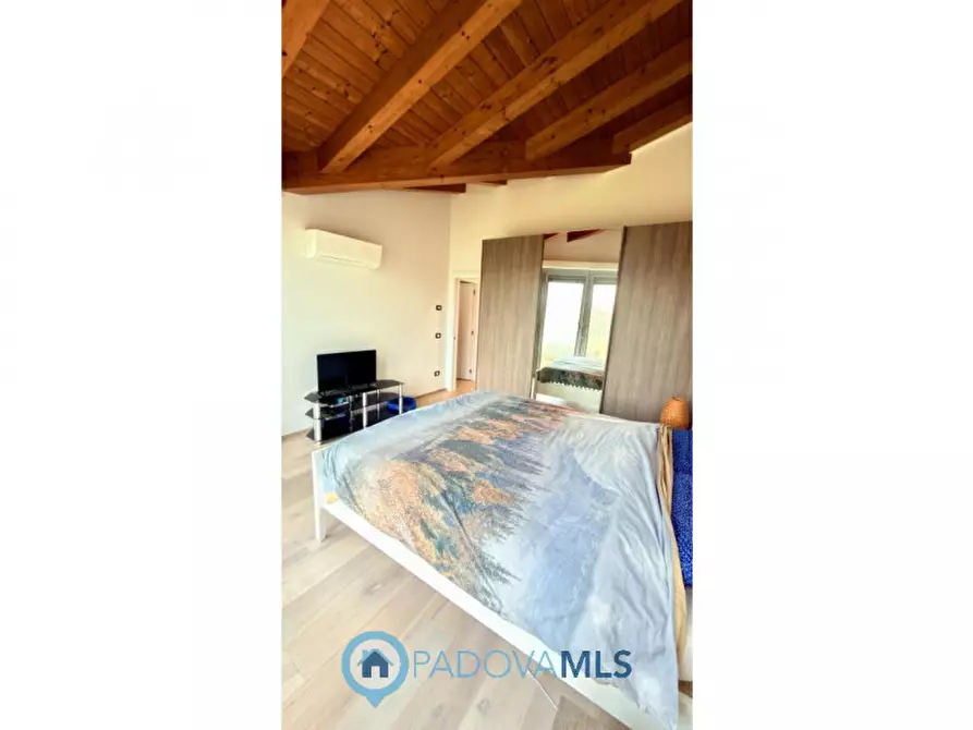 Immagine 38 di Villa in vendita  in Via Olmo per Conselve, 20 a Bagnoli Di Sopra