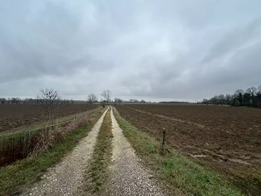 Immagine 1 di Terreno in vendita  in Via Prà Bassi, Veggiano PD a Veggiano