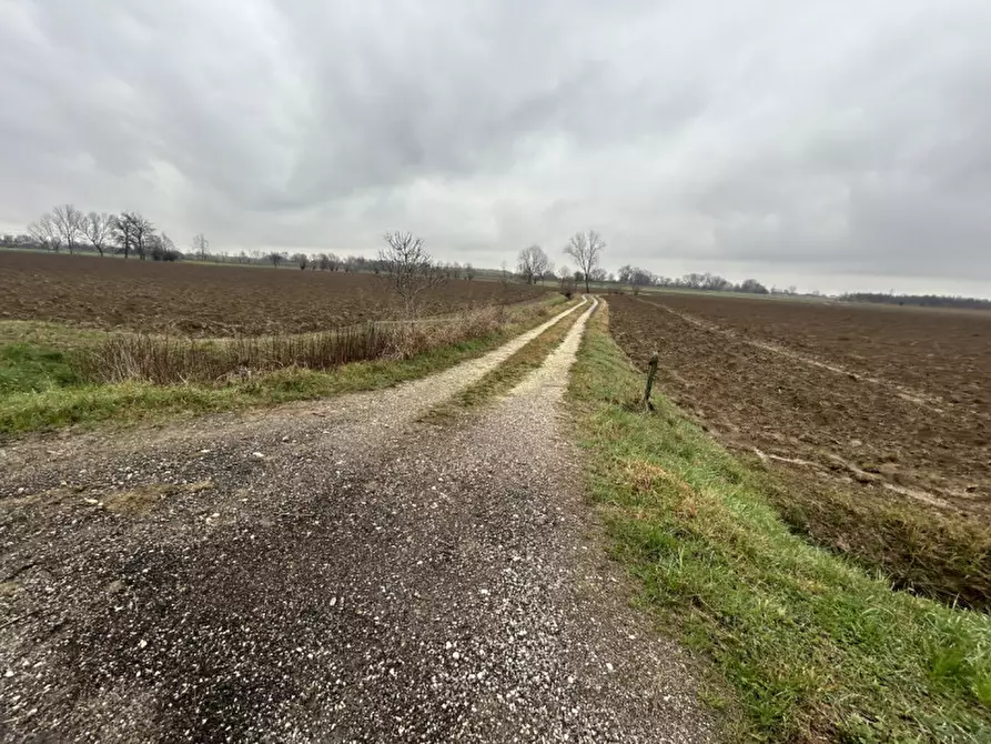 Immagine 2 di Terreno in vendita  in Via Prà Bassi, Veggiano PD a Veggiano
