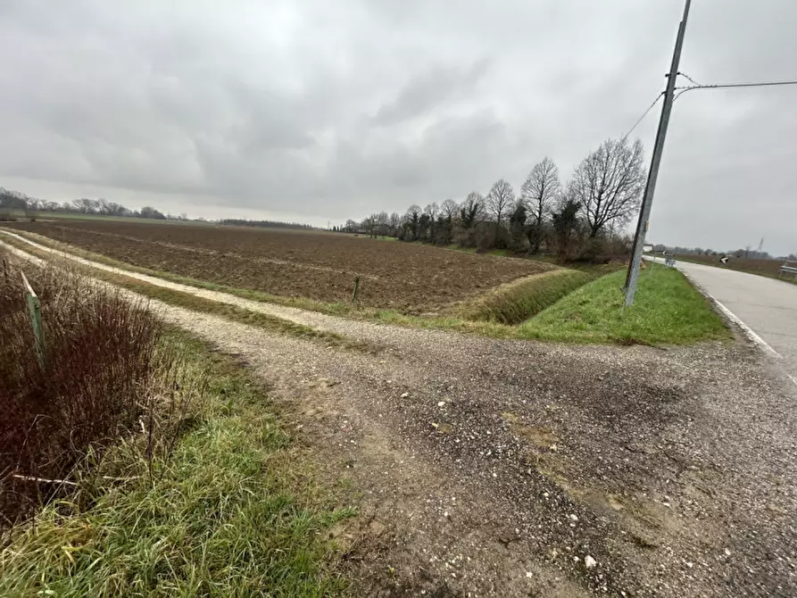 Immagine 3 di Terreno in vendita  in Via Prà Bassi, Veggiano PD a Veggiano