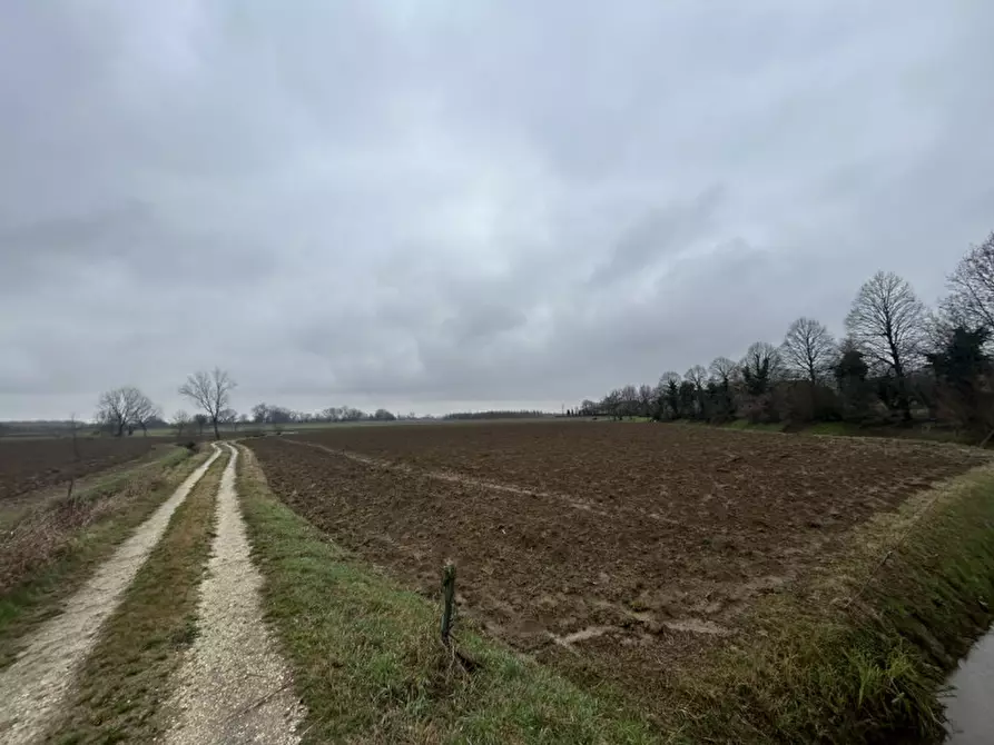 Immagine 4 di Terreno in vendita  in Via Prà Bassi, Veggiano PD a Veggiano