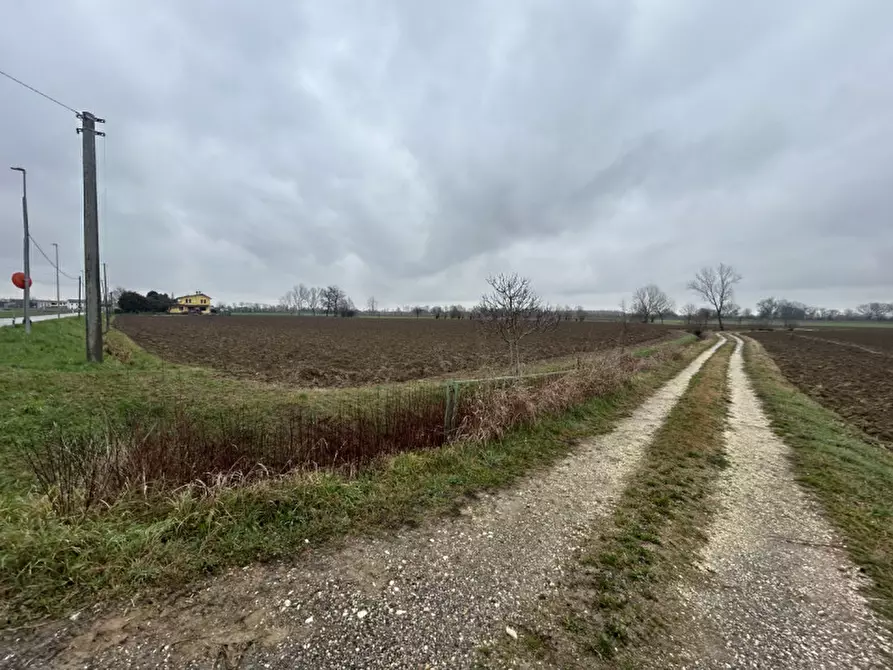 Immagine 5 di Terreno in vendita  in Via Prà Bassi, Veggiano PD a Veggiano