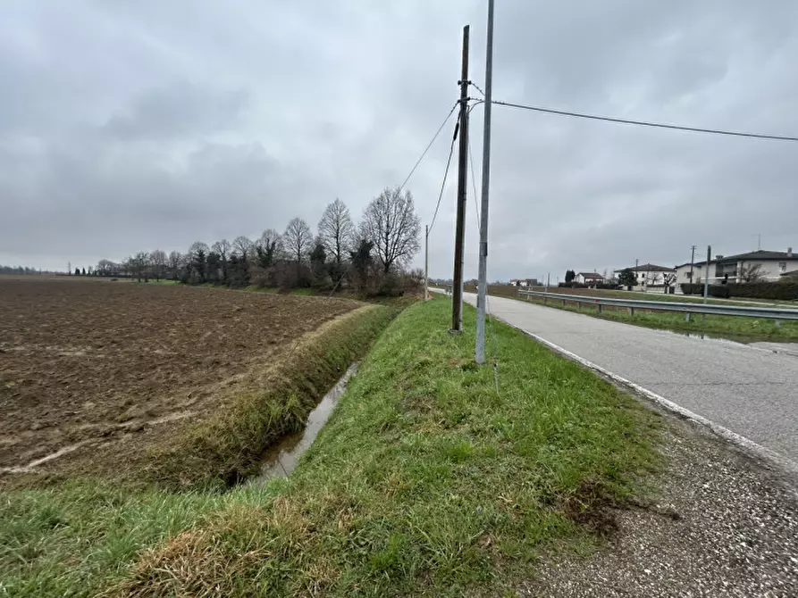 Immagine 6 di Terreno in vendita  in Via Prà Bassi, Veggiano PD a Veggiano
