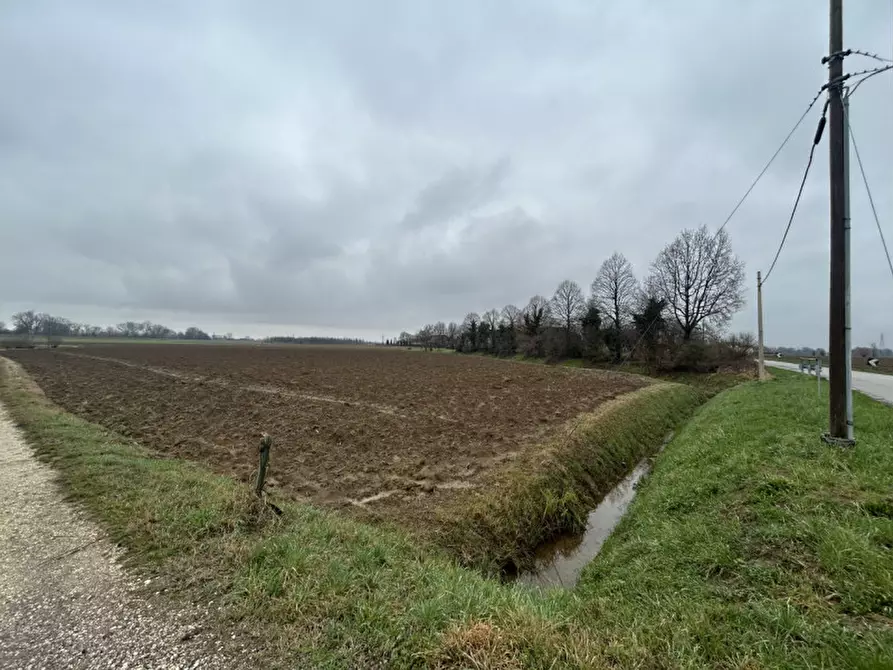 Immagine 7 di Terreno in vendita  in Via Prà Bassi, Veggiano PD a Veggiano