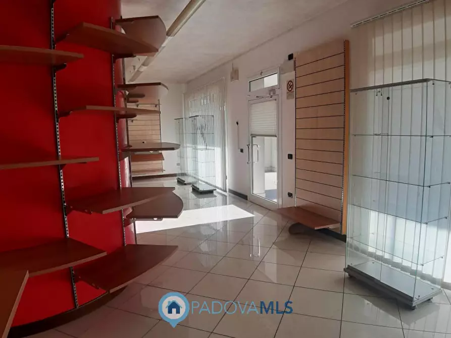 Immagine 15 di Attività commerciale in vendita  a Solesino