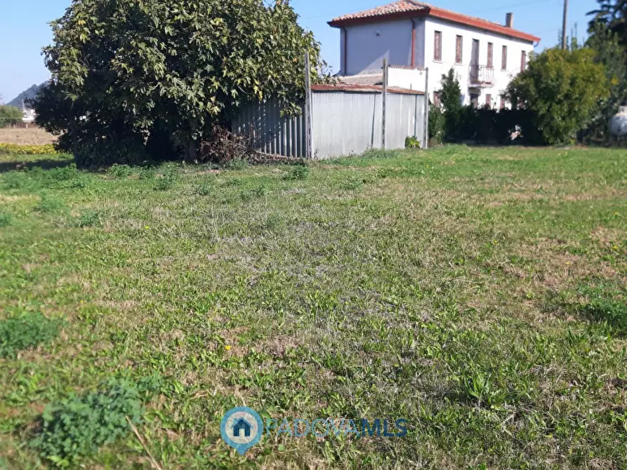 Immagine 3 di Casa indipendente in vendita  a Monselice