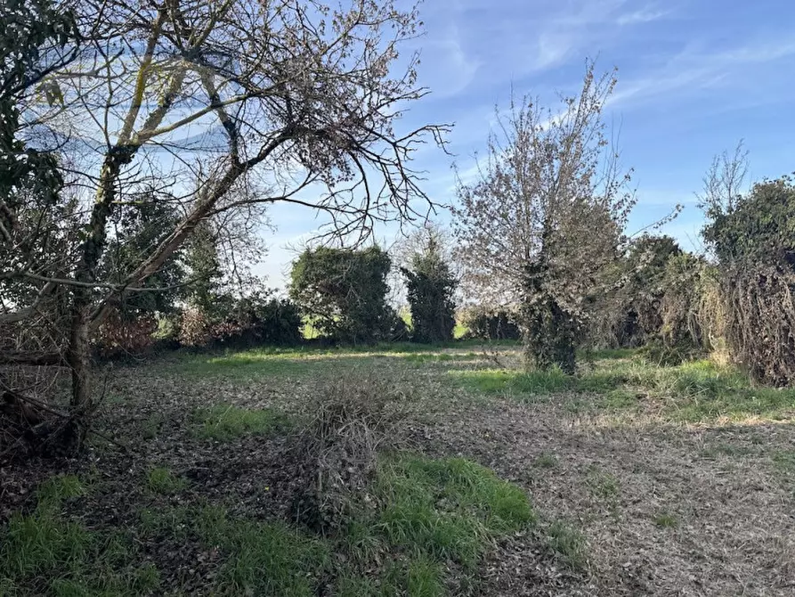 Immagine 9 di Rustico / casale in vendita  in Via Fascinata 75 a Argenta