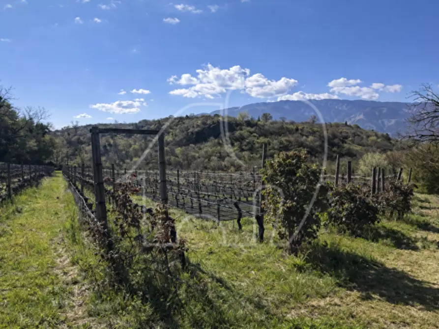 Immagine 2 di Terreno in vendita  a Montagna .Montan.