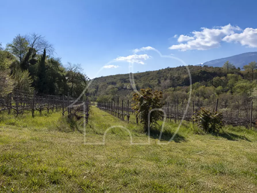 Immagine 4 di Terreno in vendita  a Montagna .Montan.