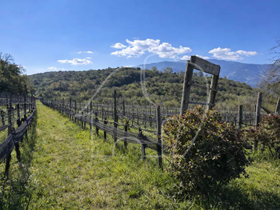 Immagine 5 di Terreno in vendita  a Montagna .Montan.