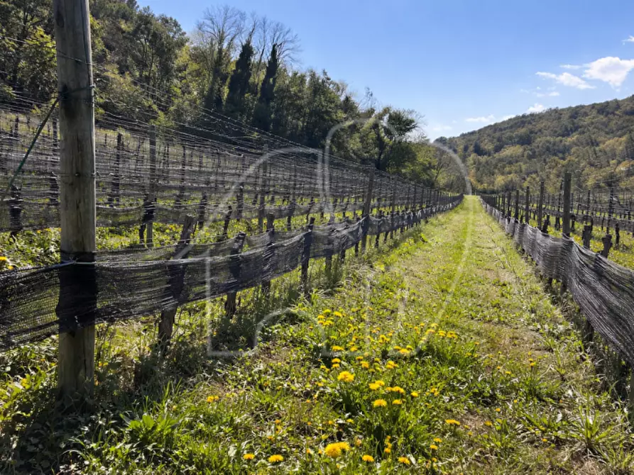 Immagine 6 di Terreno in vendita  a Montagna .Montan.