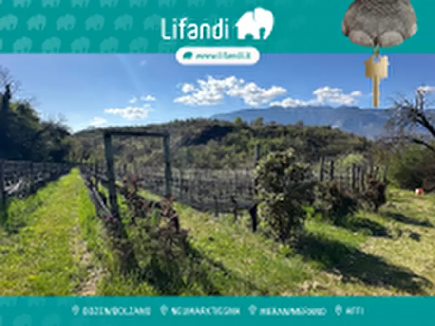 Immagine 1 di Terreno in vendita  a Montagna .Montan.