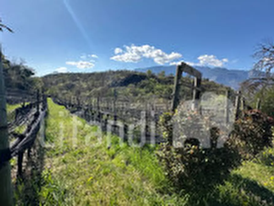 Immagine 5 di Terreno in vendita  a Montagna .Montan.