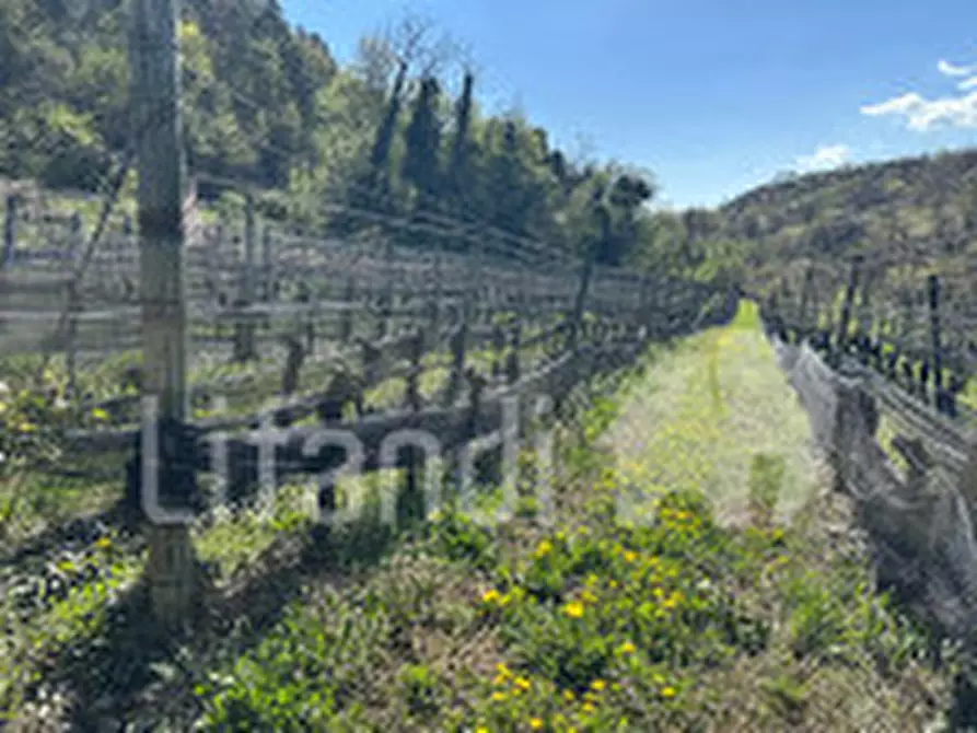 Immagine 8 di Terreno in vendita  a Montagna .Montan.