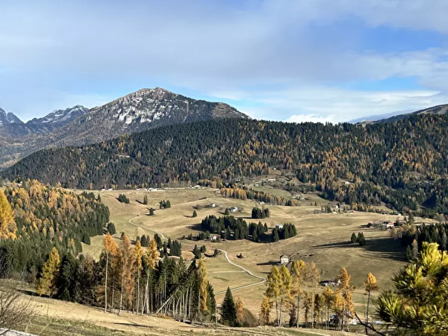 Immagine 2 di Casa indipendente in vendita  in Strada Provinciale 246 di Celado a Castello Tesino