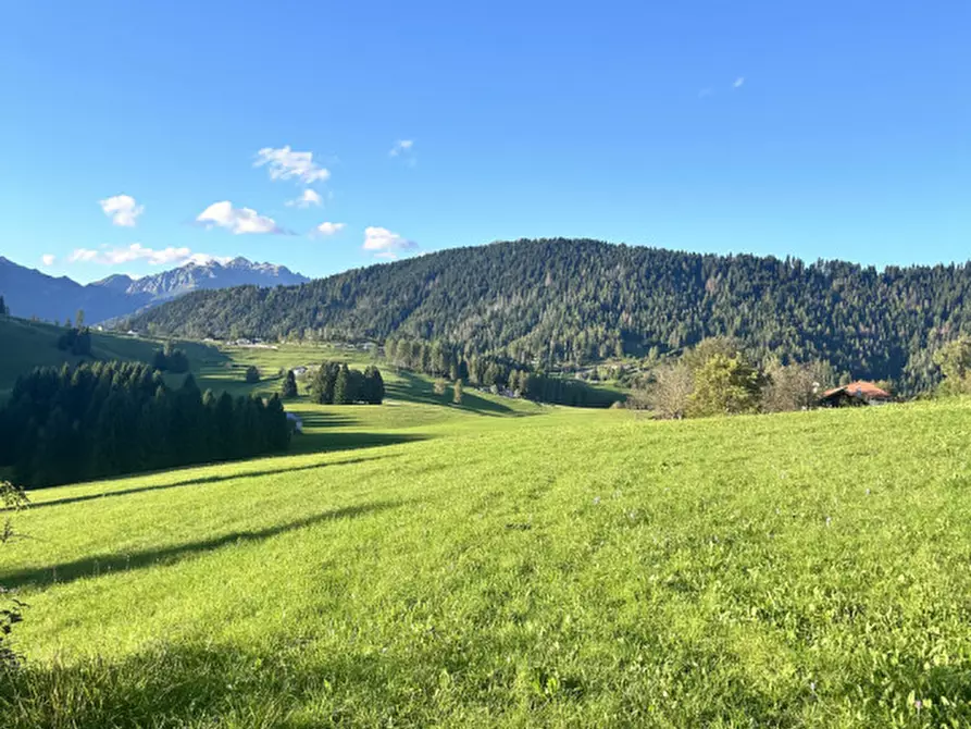 Immagine 3 di Casa indipendente in vendita  in Strada Provinciale 246 di Celado a Castello Tesino