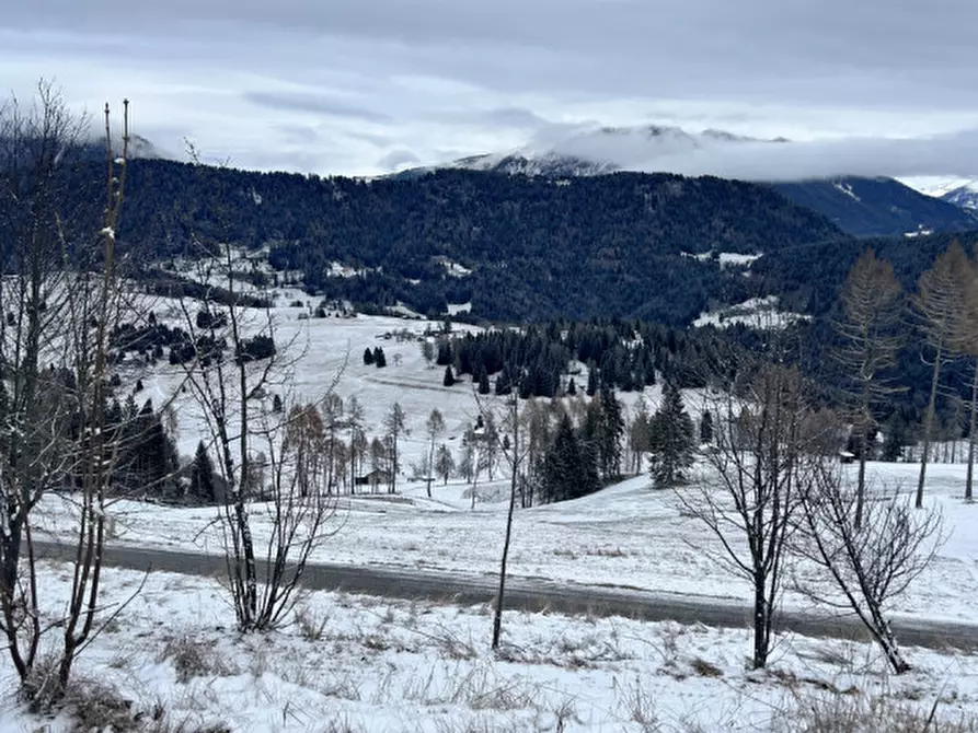 Immagine 4 di Casa indipendente in vendita  in Strada Provinciale 246 di Celado a Castello Tesino