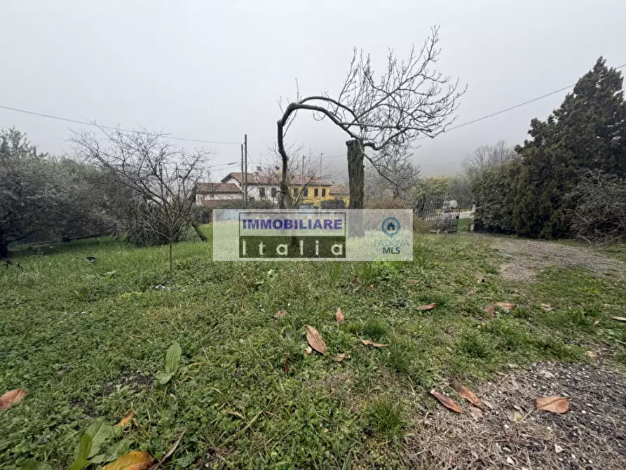 Immagine 4 di Casa bifamiliare in vendita  in Via Regazzoni Alta a Galzignano Terme