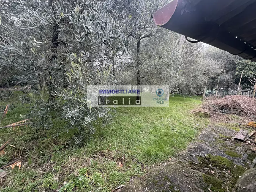 Immagine 5 di Casa bifamiliare in vendita  in Via Regazzoni Alta a Galzignano Terme