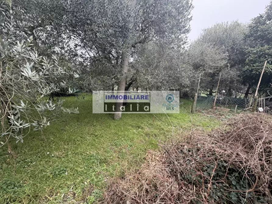 Immagine 6 di Casa bifamiliare in vendita  in Via Regazzoni Alta a Galzignano Terme