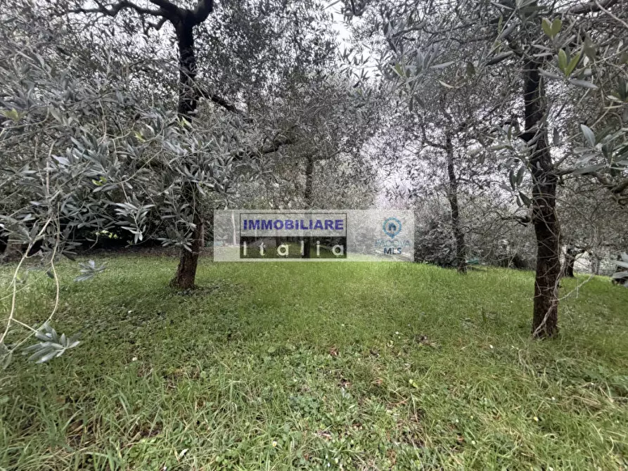 Immagine 7 di Casa bifamiliare in vendita  in Via Regazzoni Alta a Galzignano Terme