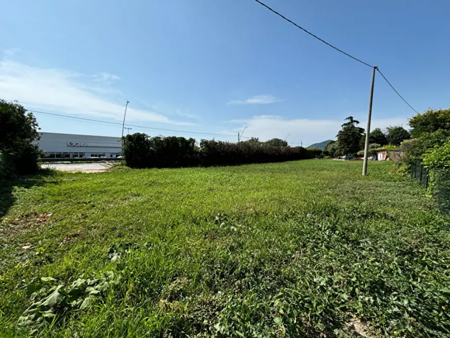 Immagine 2 di Terreno in vendita  in Strada Rovigana a Monselice