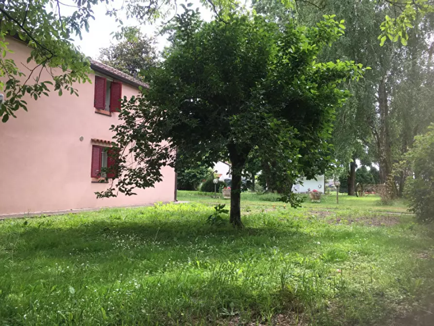Immagine 2 di Casa indipendente in vendita  a Badia Polesine