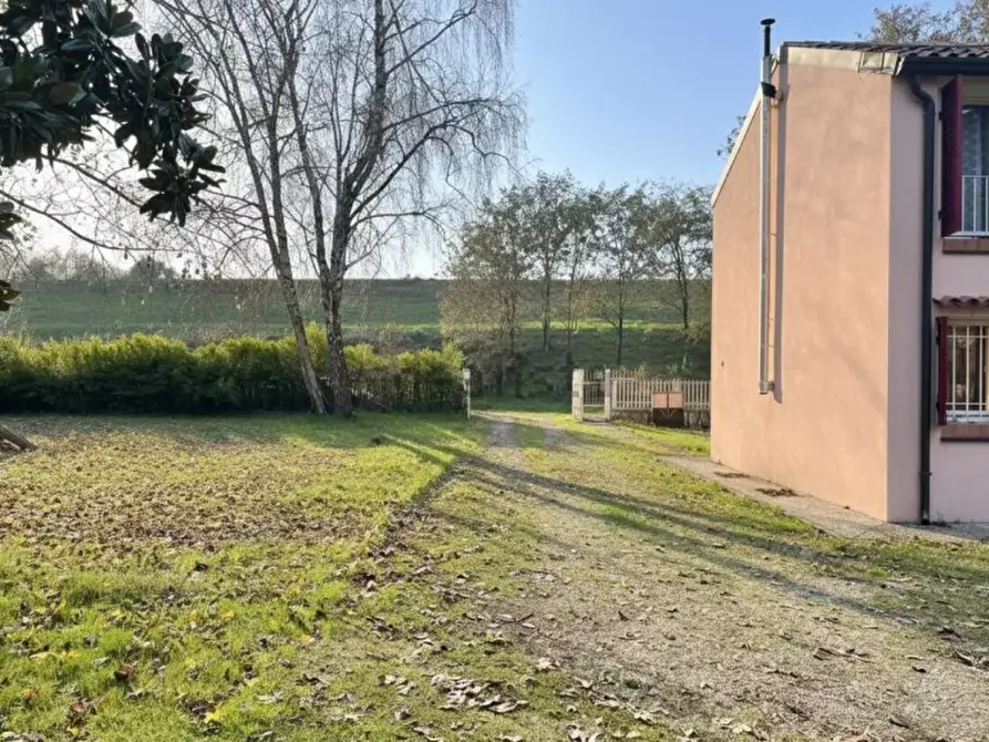 Immagine 3 di Casa indipendente in vendita  a Badia Polesine