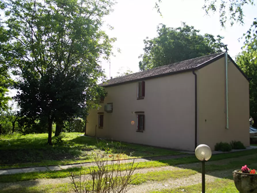 Immagine 4 di Casa indipendente in vendita  a Badia Polesine