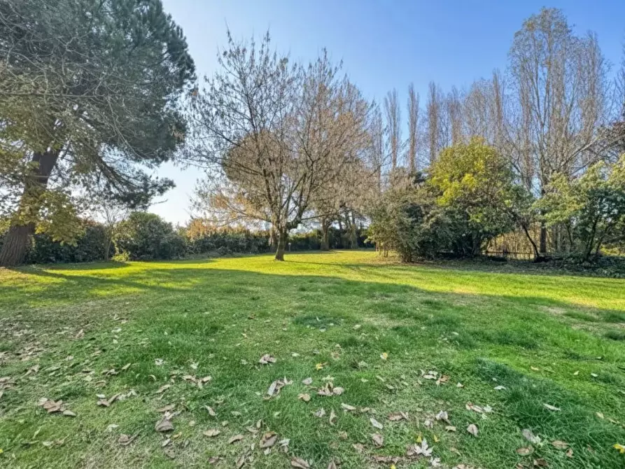 Immagine 5 di Casa indipendente in vendita  a Badia Polesine