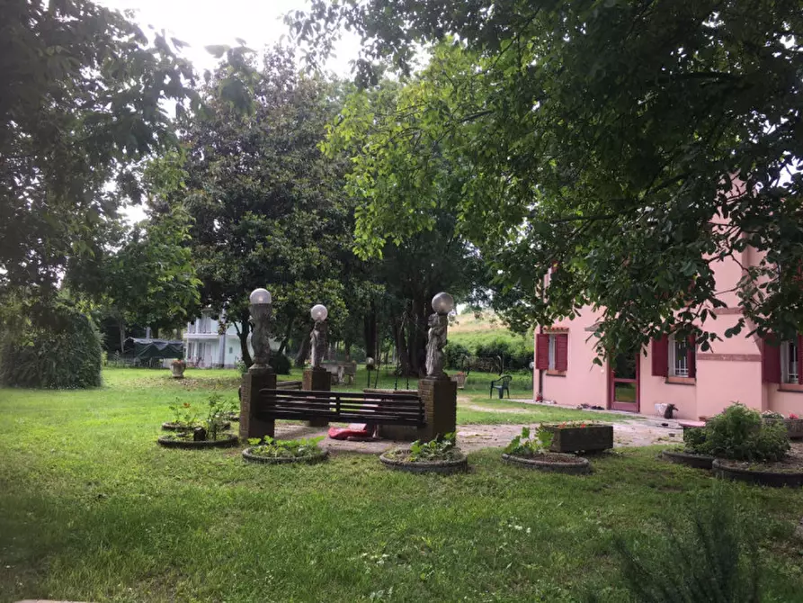 Immagine 6 di Casa indipendente in vendita  a Badia Polesine