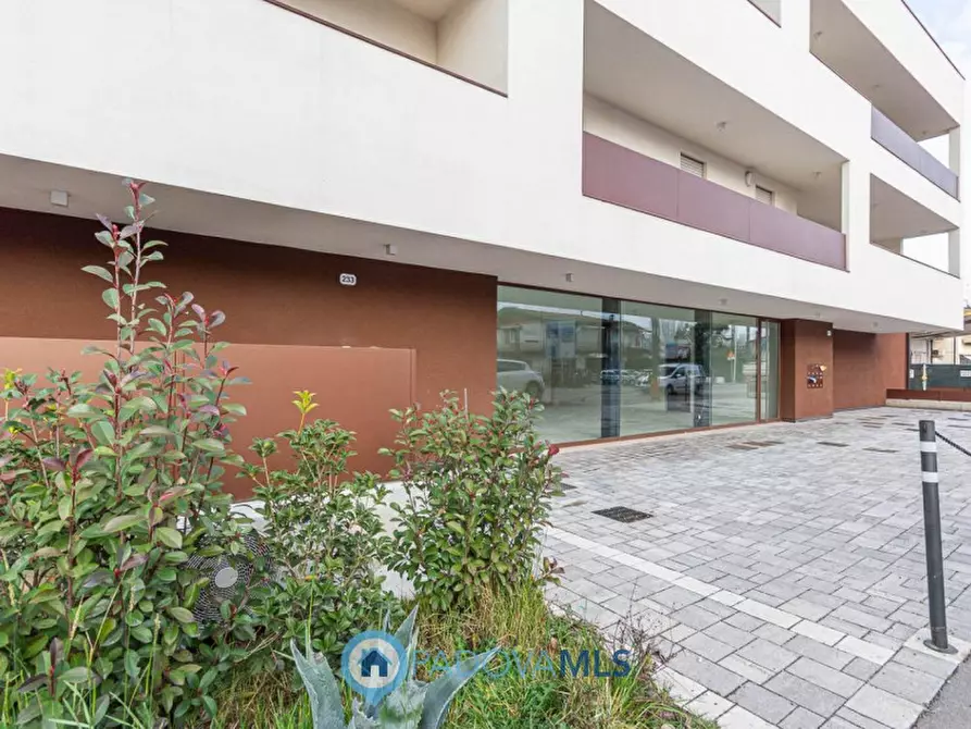 Immagine 5 di Negozio in vendita  in Via Piovese a Padova