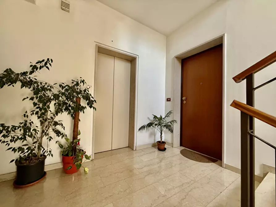 Immagine 28 di Appartamento in vendita  in Via Ospital Vecchio a Legnago