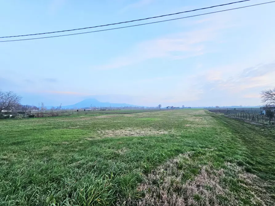 Immagine 1 di Terreno in vendita  in VIA CANELETTO a Lozzo Atestino