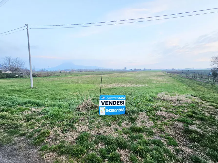 Immagine 6 di Terreno in vendita  in VIA CANELETTO a Lozzo Atestino