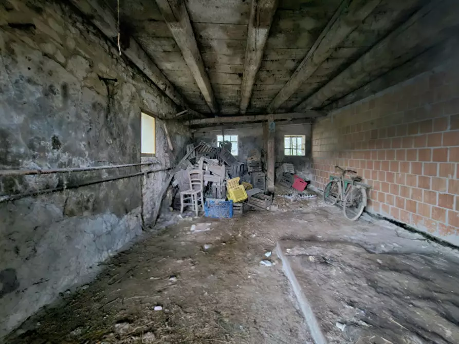 Immagine 8 di Terreno in vendita  in VIA CANELETTO a Lozzo Atestino