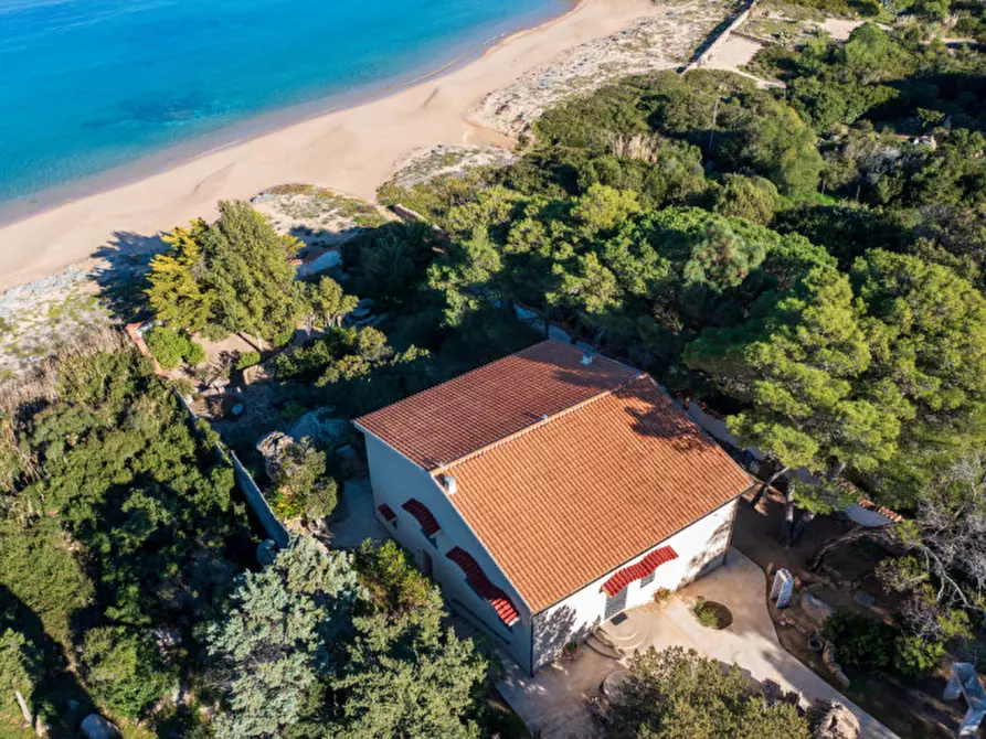 Immagine 1 di Villa in vendita  a Olbia