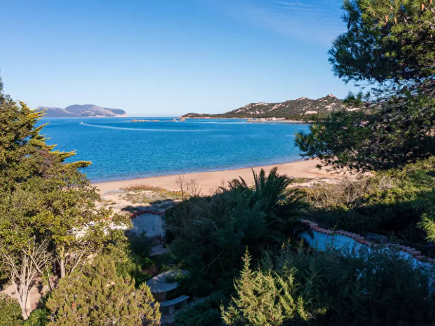 Immagine 3 di Villa in vendita  a Olbia