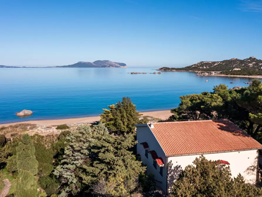 Immagine 4 di Villa in vendita  a Olbia