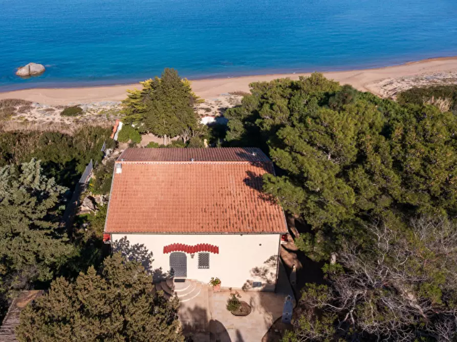 Immagine 5 di Villa in vendita  a Olbia