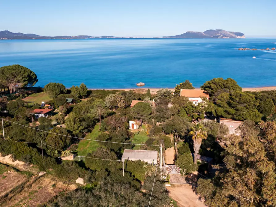 Immagine 6 di Villa in vendita  a Olbia