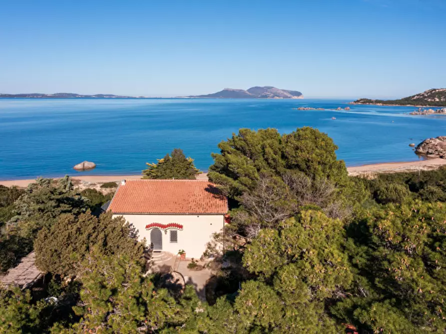 Immagine 7 di Villa in vendita  a Olbia