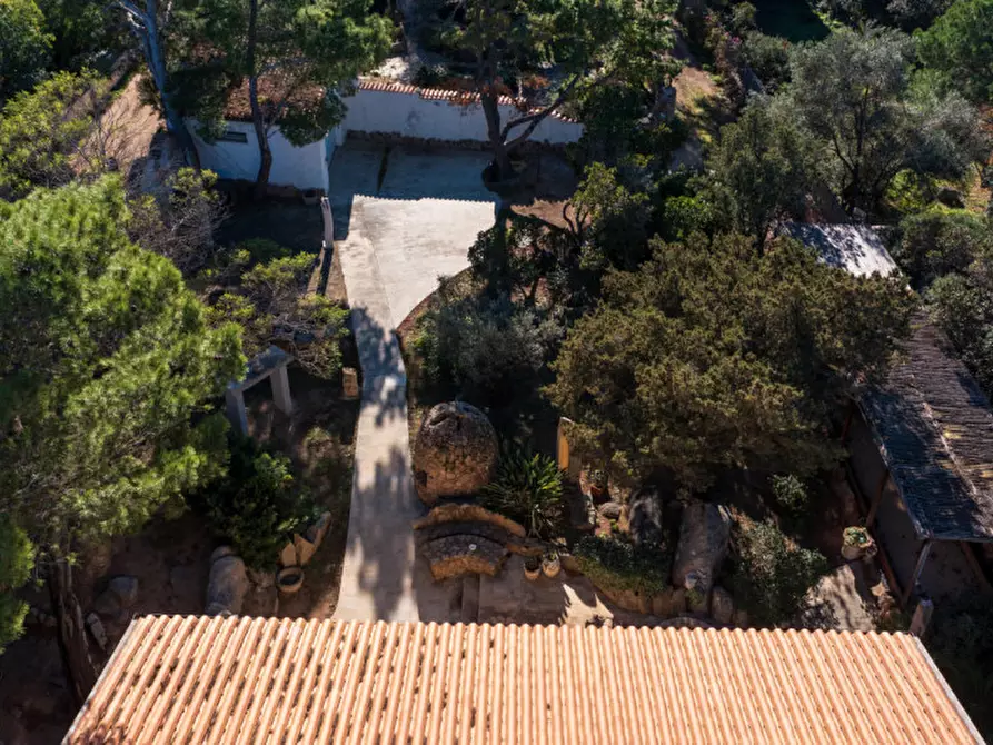 Immagine 12 di Villa in vendita  a Olbia