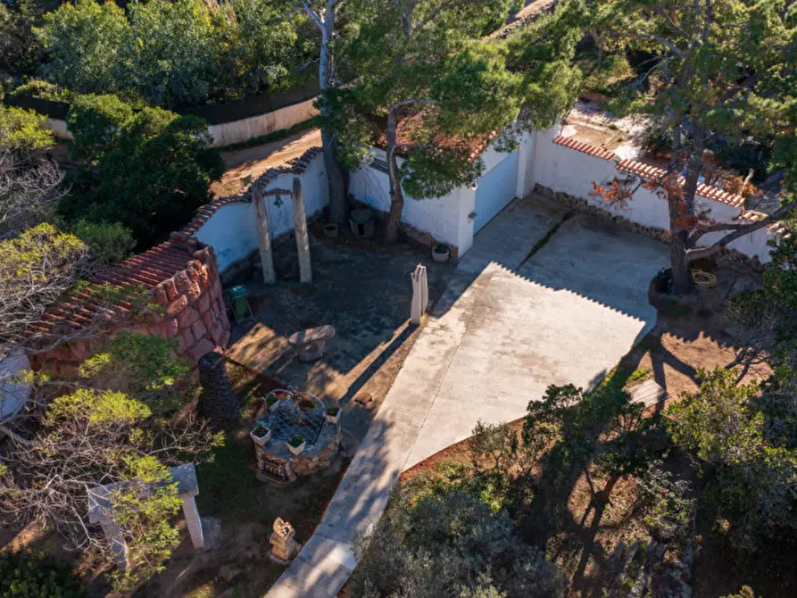 Immagine 13 di Villa in vendita  a Olbia