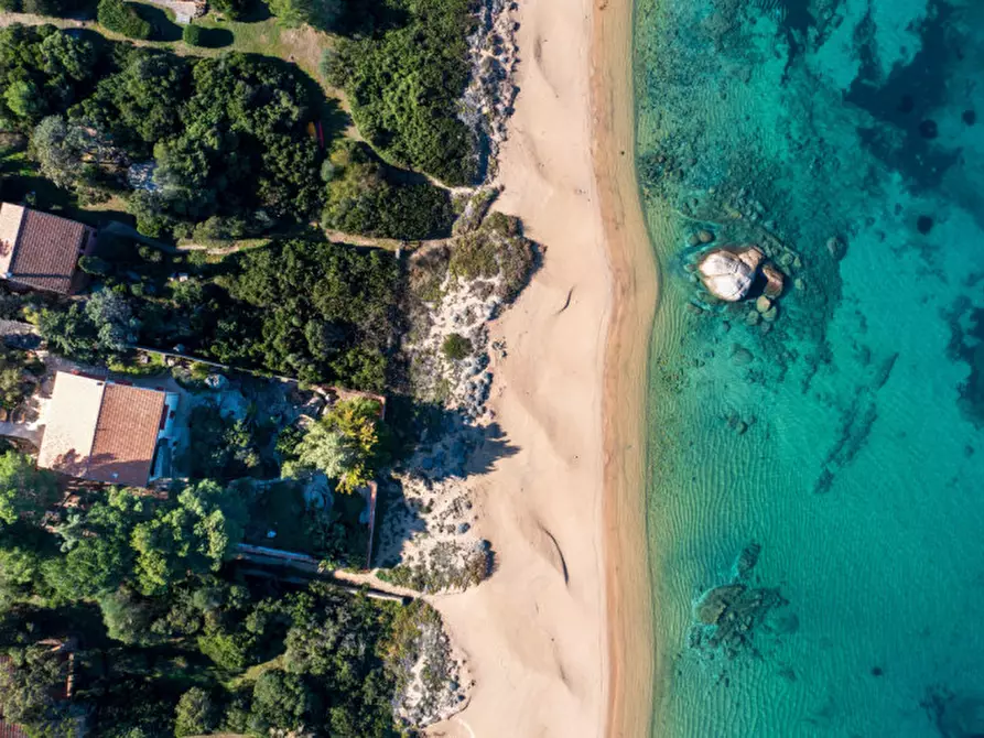 Immagine 14 di Villa in vendita  a Olbia